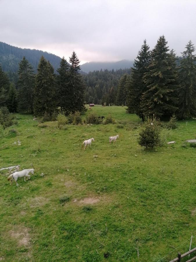 Forest Home 524 Smolyan Eksteriør bilde