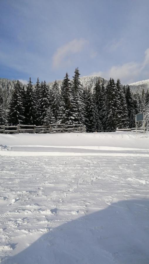 Forest Home 524 Smolyan Eksteriør bilde